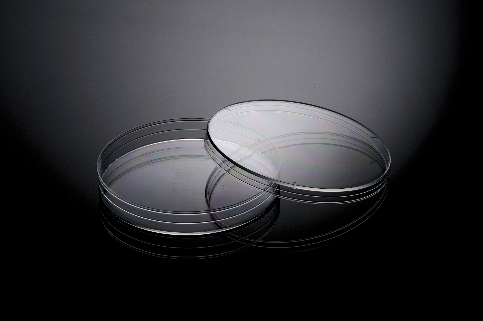 DISH// 生写真 Tisch Scientific | Biologix Polystyrene Petri Dish w/Triple-Vented
