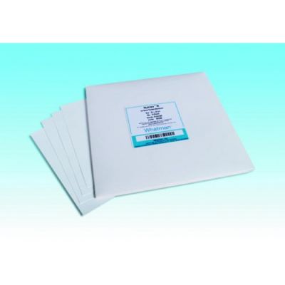 NYTRAN SPC 300mm x 3m 1/Pk