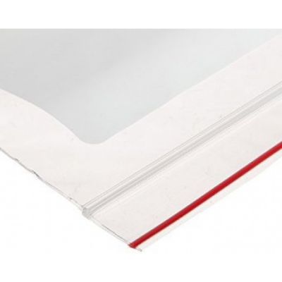 Plastic ZipLock Bag, 100/Pk