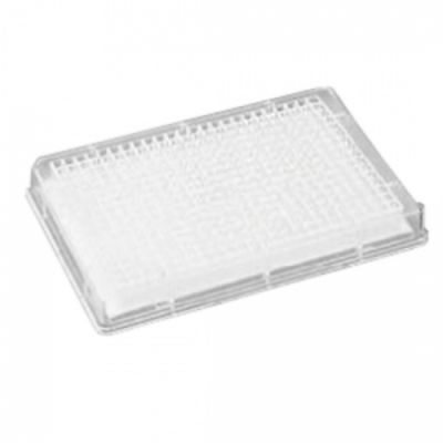 384W DNA BINDING 50/Pk