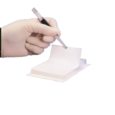 Biodyne B Membrane, 0.45um - 30 cm x 3 m Roll, 1/Pk