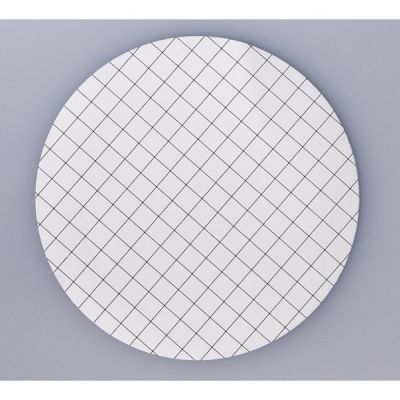 MCE White Memb/Black Grid Membrane Filters, 0.45um, 60mm, Nonsterile, 100/Pk