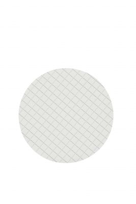 MCE Filter, ME Range (ME 24), 3.1mm w/b Grid for Mem-butler, 0.2um, 50mm D, 400 pcs