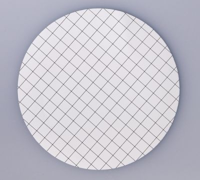 MCE Membrane Filters, White w/Black Grid, 0.22 um, 50mm, Nonsterile, 100/Pk