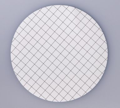 MCE Membrane Filters, White w/Black Grid, 0.45um, 50mm, Nonsterile, 100/Pk