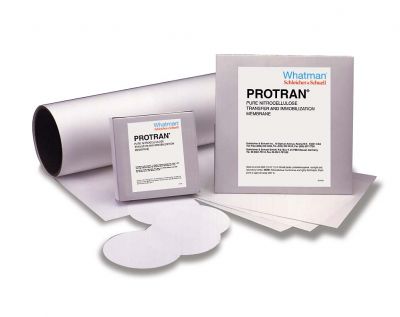 PROTRAN BA83 82mm 50/Pk