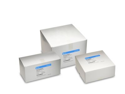 Grade 1 Qualitative Filter Paper, Quadrant Folded, 150mm Circle, 500 pack