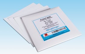 AE99 8.0um 47mm 100/Pk