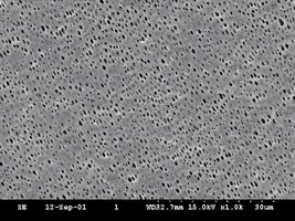 RC Membrane (RC58), 0.2um Pore Size, 50mm Circle (100 pcs)