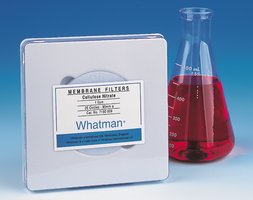 CA 47mm WH 0.45um 100/Pk