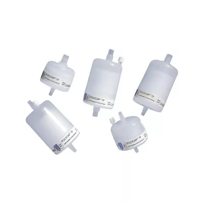 PolyCap TF 75, 0.2um, w/ 1/2in SB Inlet & Outlet - 1pc