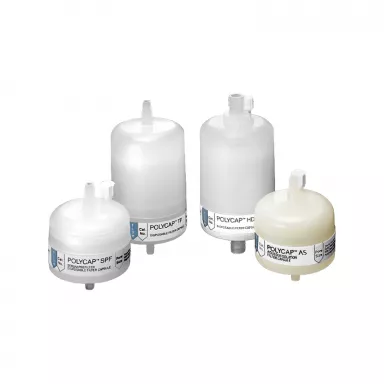 PolyCap HD 75 Capsule Filter, 1.0um, w/ 1/2 SB Inlet & Outlet - 1pc