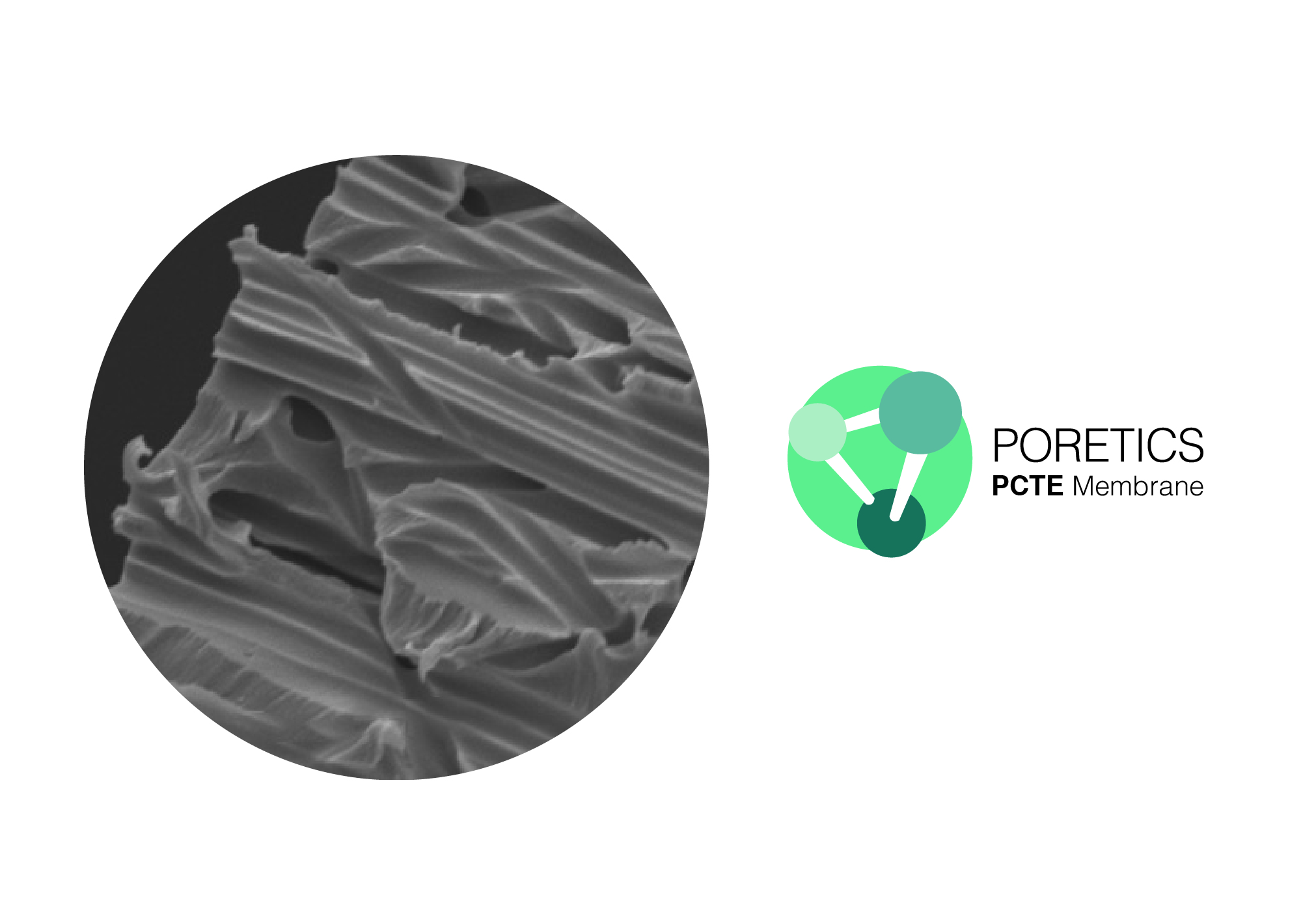 GVS membrane filter discs
