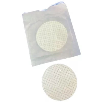 Gridded MCE Membrane Filter, Sterile, Hydrophilic - 0.45&micro;m, 47mm, Water Analysis, 1000/cs